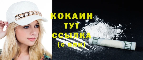 крисы Покачи