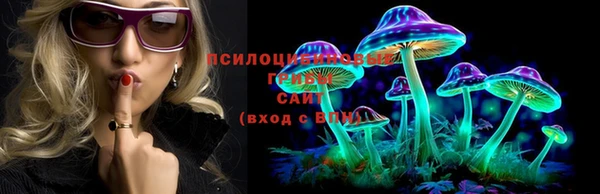 крисы Покачи