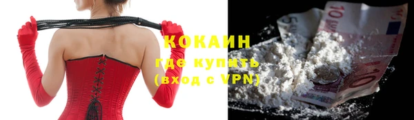 твердый Ельня