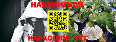 PSILOCYBIN Камышлов