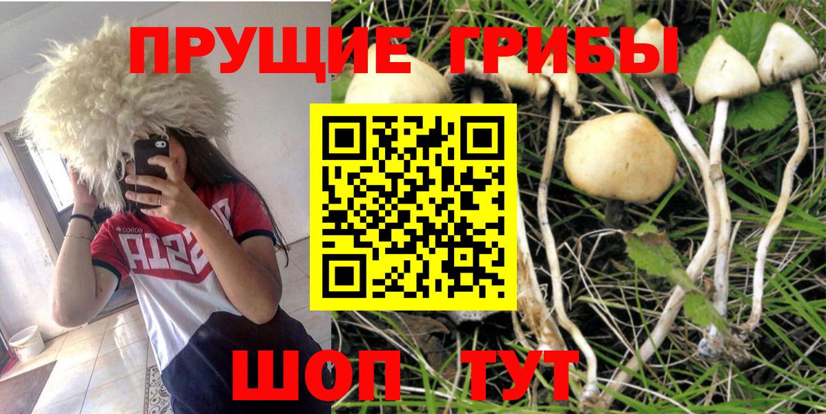 наркошоп  Вход с VPN  Саяногорск  Галлюциногенные грибы MAGIC MUSHROOMS 